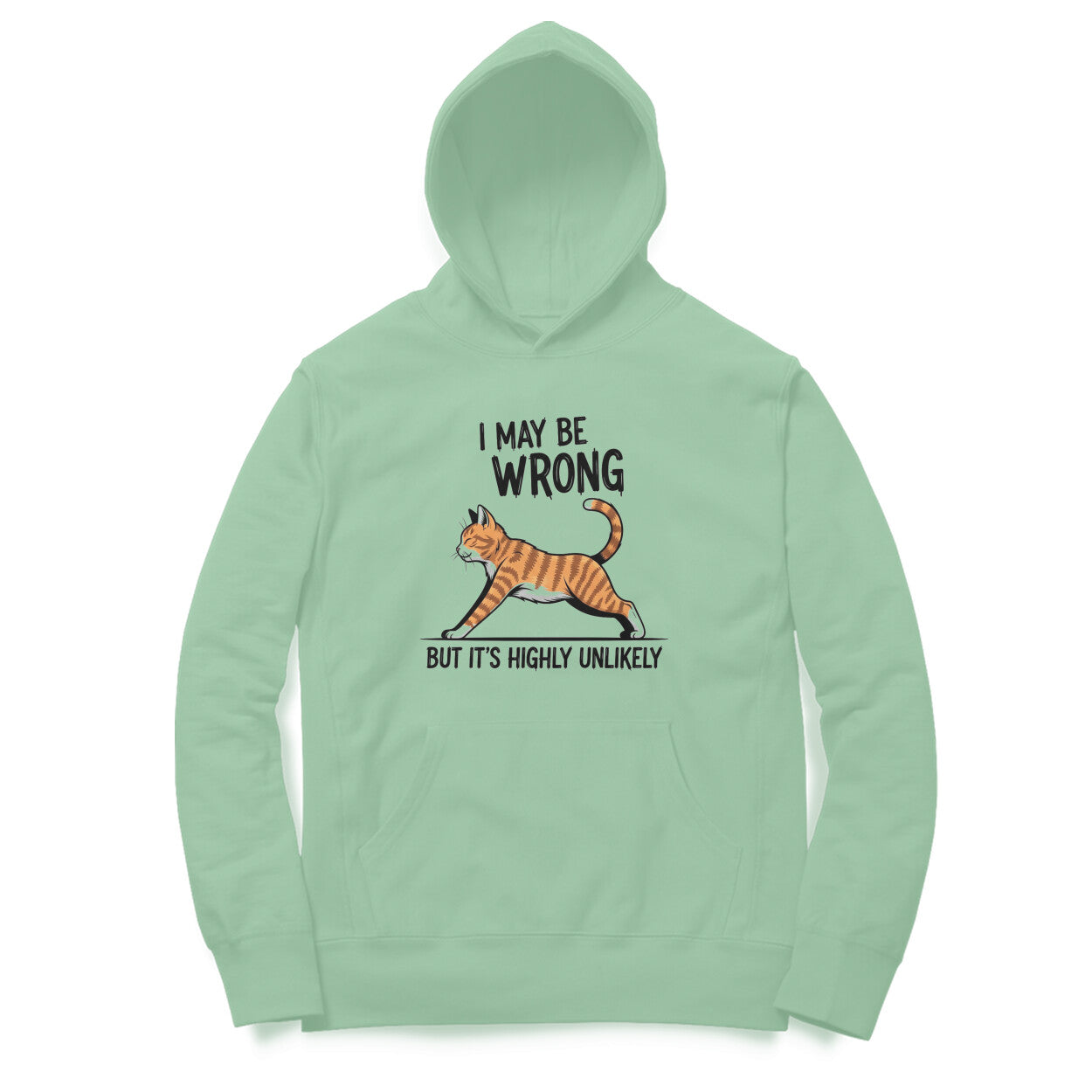 Mint Green "I May Be Wrong" Funny Cat Men's Hoodie Hoodies
